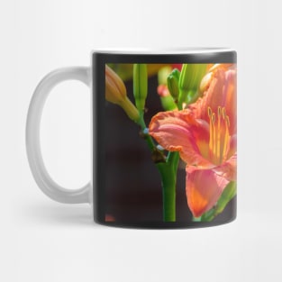 Regent Square Day Lily 2019 Mug